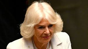 How Queen Camilla ensures maximum secrecy and security at official  photoshoots