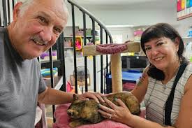 Hallelujah…another adoption today! Phoenix; another rescue from the  devastating May fire, has been adopted. Lisa Montalbano and Randy  Meierdierks of Murrells Inlet adopted this sweetie. Randy is a former  firefighter.