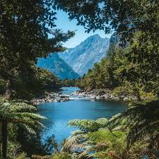 New zealand is a remote . 100 Pure New Zealand Facebook