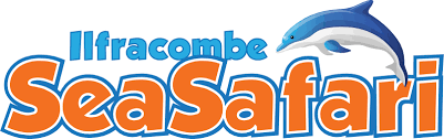 Mackerel Fishing Reef Fishing And Deep Sea Fishing Trips In Ilfracombe North Devon