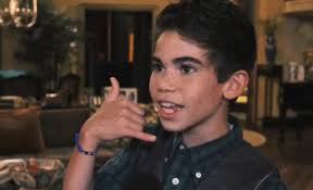 Ｓᴛʀᴀᴛᴇɢɪᴄ Ｈᴏᴍᴇʟᴀɴᴅ Ｉɴᴛᴇʀᴠᴇɴᴛɪᴏɴ﹐ Ｅɴғᴏʀᴄᴇᴍᴇɴᴛ ᴀɴᴅ Ｌᴏɢɪsᴛɪᴄs Ｄɪᴠɪsɪᴏɴ