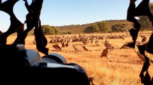 Empresas de fotógrafos en cáceres. Ocho Blogueros Y Fotografos Especializados Viajan Por La Provincia De Caceres Para Conocer El Tajo Internacional Revista Grada