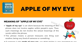 In old english , the pupil of the eye (the round, dark center) was called the 'apple'. Apple Of My Eye What Is The Meaning Of Apple Of One S Eye Love English