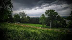 Image result for Eye Rest Green 1983 Hussmann