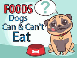 What about fish, eggs or peanut butter? What Can T Dogs Eat Human Foods List Infographic Rth