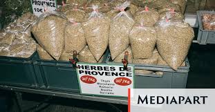 Photo Les herbes de Provence on dirait le Sud  Mediapart