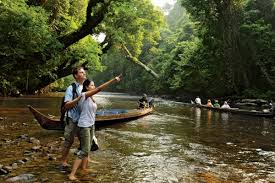 Image result for taman negara pahang