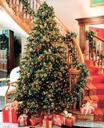 Love Stairs At Christmas Cool Christmas Trees Christmas Tree Pictures Simple Christmas Tree