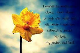 Daffodil I Bet She S Happy Now Daffodils Daffodil Bouquet Nature Quotes