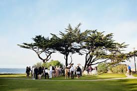 A Wedding Inspired By The Ocean Monterey Wedding Pacific Grove Wedding