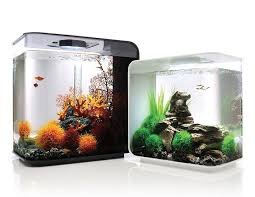 Biorb Flow Aquarium Fish Tank Aquarium Modern Fish Tank