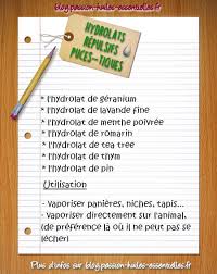 Plusieurs huiles essentielles dégageant une forte odeur peuvent être utilisées pour dissuader les puces de s'attaquer à vous. Repulsifs Naturels Contre Puces Et Tiques Pour Votre Chien