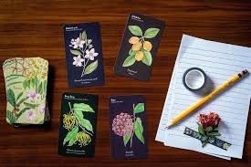 Click through to watch this video on tricklife.com. Oracle Cards A Beginner S Guide Practical Magic