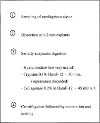 We did not find results for: Monolayer Culture An Overview Sciencedirect Topics