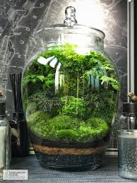 Pin By Derly Art Designs On Modern Landscape Design Garden Terrarium Terrarium Plants Terrarium