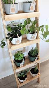 Build the ladder with the wood of choice. Diy Plant Ladder Shelf A Renter Friendly Indoor Garden Idea