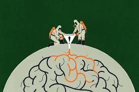 A reduction in dopamine is responsible for many of the symptoms of parkinson's disease. The Link Between Parkinson S Disease And Toxic Chemicals The New York Times