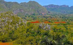 Check spelling or type a new query. Valle De Vinales Grun Rotes Naturparadies Bester Tabak Kuba Hightlight Passenger On Earth