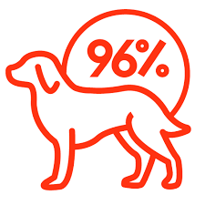 These games include browser games for both your computer and mobile devices, as well as apps for your android and ios phones and tablets. 30 Day Perfect Pup With Zak George Dog Training Pupford