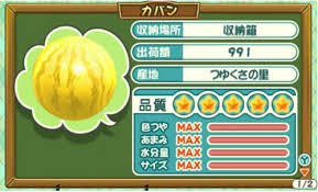 牧場物語３つの里の大切な友だち 全max作物 料理祭エキスパート ドリンク祭 プレイ日記23