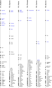 Horse, butterfly, frog, dog, cat, pig, hen, chicks, lizard, ladybug, ant, cow, bee, rabbit, sheep, goat, goose. Brain Reading And Behavioral Methods Provide Complementary Perspectives On The Representation Of Concepts Sciencedirect
