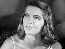 Television's New Frontier: The 1960s: Checkmate (1962)