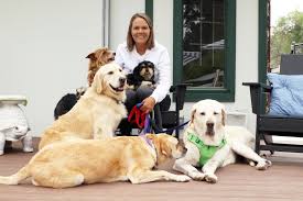 You just provide the love! Thrive Animal Rescue