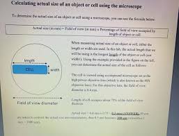 Plant cell view under microscope. 7 A Student Is Viewing A Plant Cell Under A Chegg Com