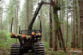 Jun 03, 2021 · medford, ore. Oregon S Logging Debate Gets A Reset With Latest Plan For Public Forests Opb