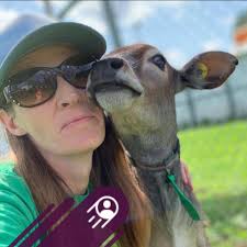 Cricut Explore 3 user tips and tricks needed