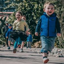 Free Tickets For School Visits Chester Zoo News