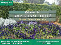 Other activity and region match your search criteria. A1 Pest Control Baulkham Hills Termite Inspections Rodent Treatment
