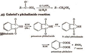 cbse class 12 chemistry notes amines aglasem schools