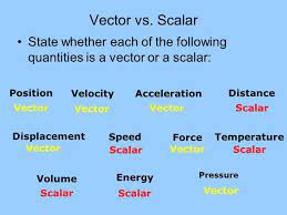 Vector Vs Scalar State Whether Each Introduction To Physics Physics Classical Mechanics
