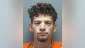 Waleska man sentenced to 15 years for violent attack