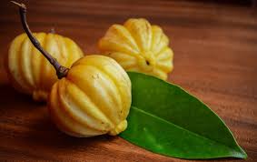 Image result for Garcinia acutifolia