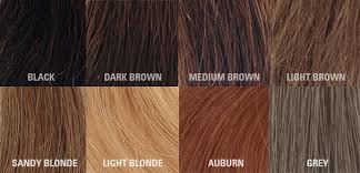 Hair Fibre Colour Chart Hair Regrowth Consultancy