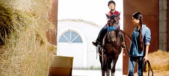 Check spelling or type a new query. Horse Riding Tourism Ideas For Horseback Riding In Spain Spain Info In English