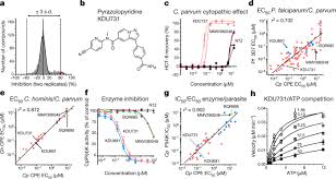 Maybe you would like to learn more about one of these? A Cryptosporidium Pi 4 K Inhibitor Is A Drug Candidate For Cryptosporidiosis Nature