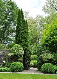 Which Do You Prefer Symmetry Or Asymmetry Evergreen Landscape Landscape Design Conifers Garden
