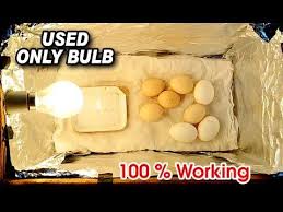 How To Make A Egg Incubator At Home Using Only Bulb Hatched Result Craft Village Youtube Egg Incubator Chicken Incubator Chicken Diy