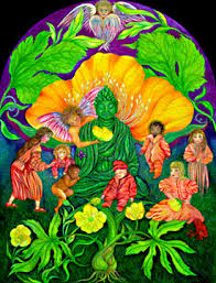 New and sealed out of print deck! Healing Waters Offers Isha Lerner S Essences