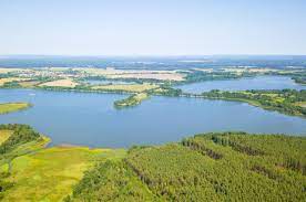 Šířka koruny je 11 m, porostlá 150 až 400 let starými. Kudy Z Nudy Rybnik Rozmberk Nejvetsi Rybnik Na Svete