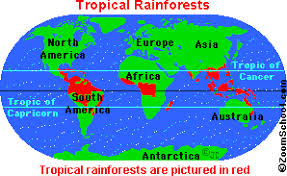 Tropical rainforests are found in the earth's equatorial regions the amazon rainforest spans 40% of south america and is the largest region of tropical rainforest in the world. Where Are Rainforests Enchantedlearning Com