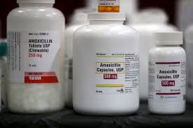Image result for Amoxicillin