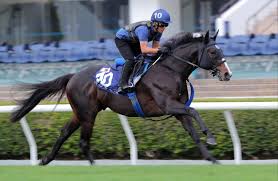 Soul Rush in Hong Kong Mile | HK Racing ...
