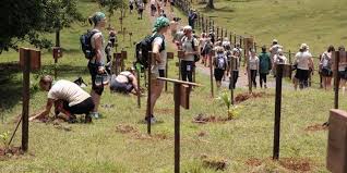 Crée en 2001, le raid amazones est le premier et unique raid aventure multisports non motorisés exclusivement réservé aux femmes pour la plupart des aventurières débutantes. Revivez Le Raid L Arbre Vert En Images Femininbio