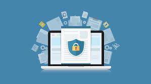 We collect this information as you use the site, software, and/or services: Privacy Policy S24 Egypt We Collect And Use Your Personal Information