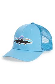 Patagonia Fitz Roy Trout Trucker Hat Nordstrom Trucker Hat Hats Hats For Men