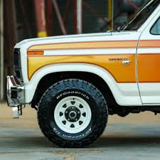 Image result for Fawn 1981 Bronco
